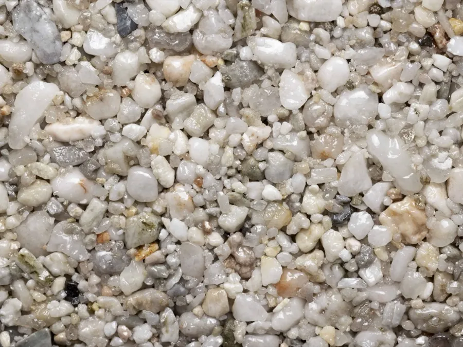 Oyster Pearl